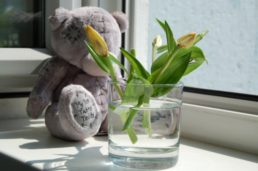 A quiet corner in your area can help you relax during stressful moments!