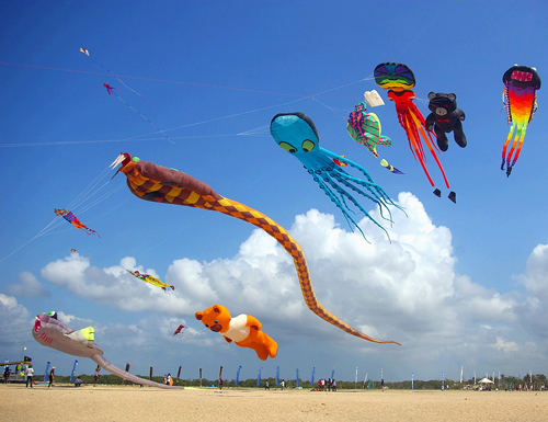 Kite