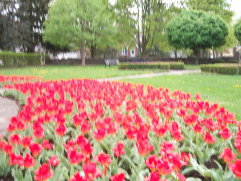 Colonel John McCrae Memorial Gardens, Guelph