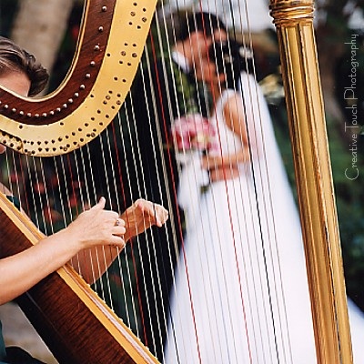 Wedding Harpist
