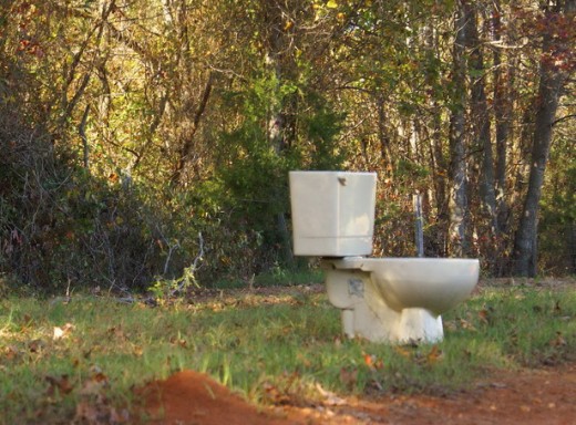 Take your toilet outside if you can!  