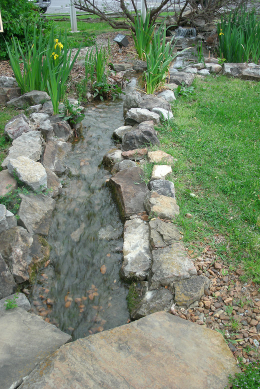 A Weekend Nature Journaling Lesson Plan Part One HubPages