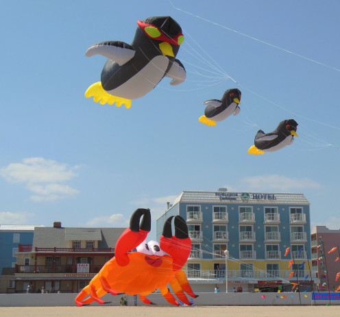Whether you're the one flying a kite, or looking up at one being flown by someone else, big bright kites like these at Ocean City, MD. are delightful to look at!