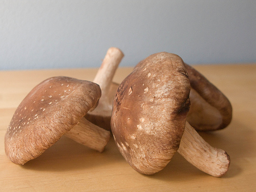 Shitake mushrooms are just one variety made for cooking.