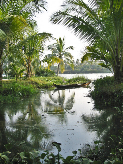 Backwaters, Kerala