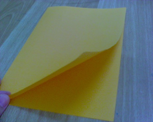 Fold the orange paper into half. Remember to face the opening part upwards.