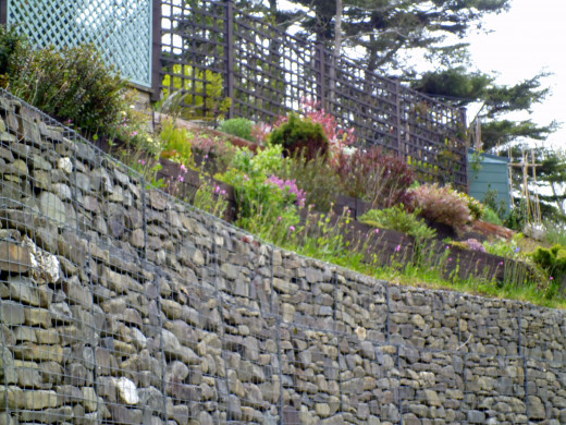 A Rockery of love.