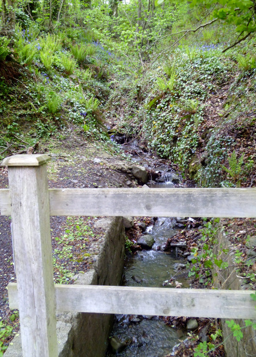 A trickling stream just as I remembered.
