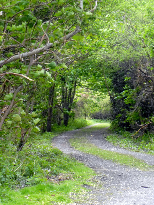 Delving deeper into Mother Nature's Kingdom.