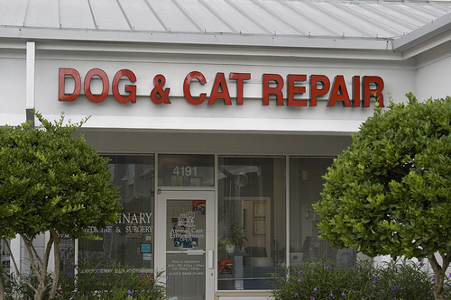 How could you not go here?  Dog and Cat Repair at its new location is 987 SE Monterey Road; Stuart, FL 34994. 772-287-2513