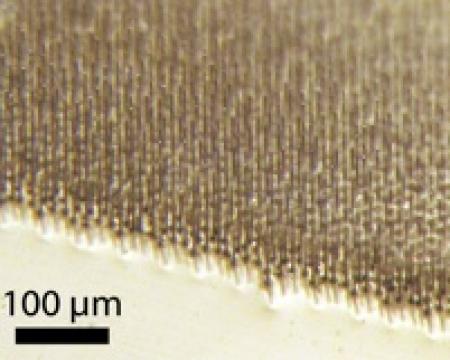 The Surface of a Silicon Wire-Array Solar Cell Looks Like a Carpet