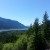 A peek at the Columbia River Gorge through the trees. A peek at the Columbia River Gorge through the trees.