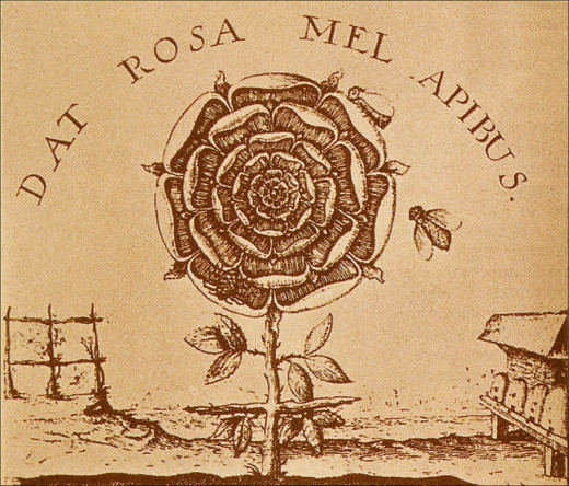 "The Rose Gives the Bees Honey"