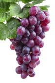 grapes