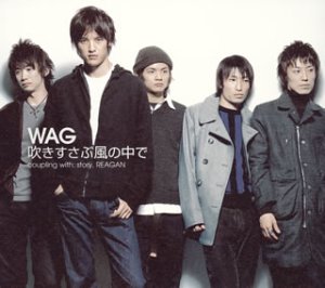 This is the CD cover of the Fukisusabu Kaze No Naka De Single by WAG