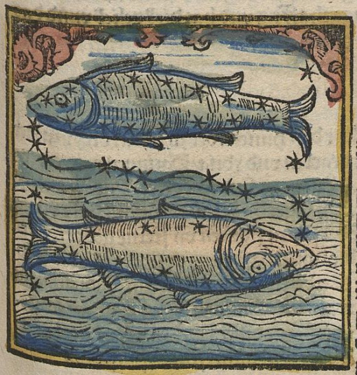 Pisces Fishes Woodcut by Johannes Regiomontanus
