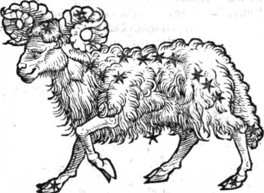 Aries by Bonatti 