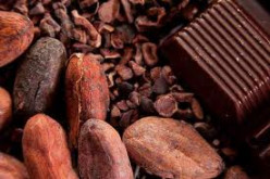 Benefits of cocoa