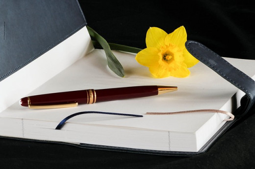If it makes you feel better, call it a journal...