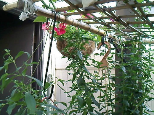 The hook use on the three tiered plant box and the snapdragon planter on a hook supporting the trellis.