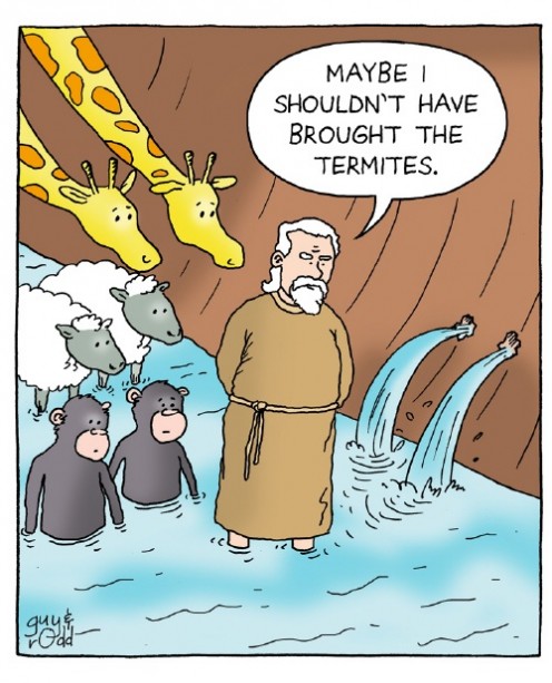 How to Get Rid of Termites Naturally How to Get Rid of Termites Naturally