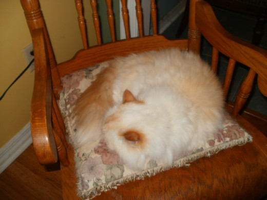 Axel has re-purposed what was once the breastfeeding rocking chair.  Does he sense the bond that was created there?