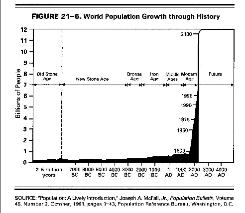 The emergence of the human race in terms of numbers