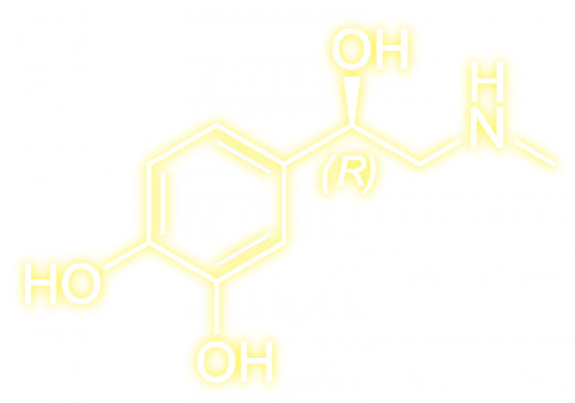 Adrenaline Structure