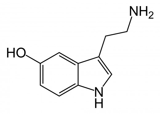 Serotonin Structure 
