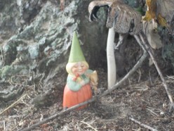 The Various Types of Fairies Around the World