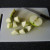 Chopping the apple for the shish kebab