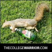 thecollegewarrior profile image