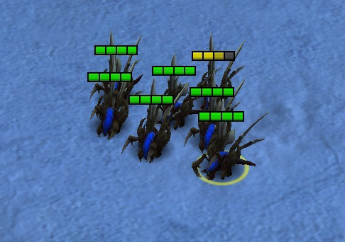 The Zergling