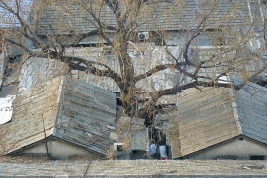 3 a) A Hutong, old Chinese homes, with a tree growing in the yard.