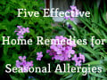 Five Effective Home Remedies for Seasonal Allergies