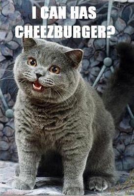 Happy Cat and his cheezeburger