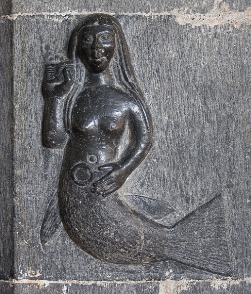 Real Mermaid Sightings Real Mermaid Sightings