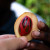 red lacy mace surrounding the nutmeg seed.