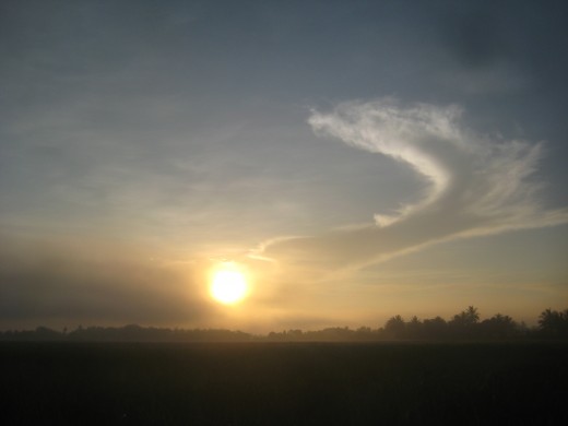 The morning sun (Photo Source: Ireno Alcala)