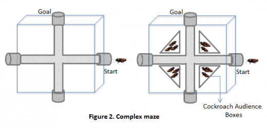 Zajonc's second cockroach experiment in which the presence of conspecifics decreased performance.  