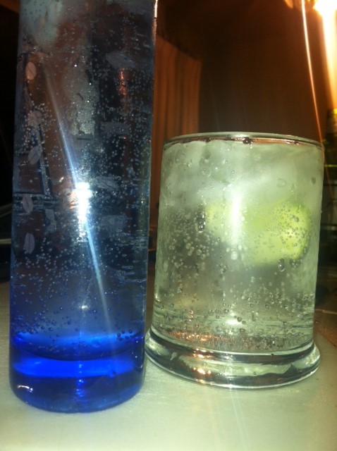 Slim Jim Gin and Tonic