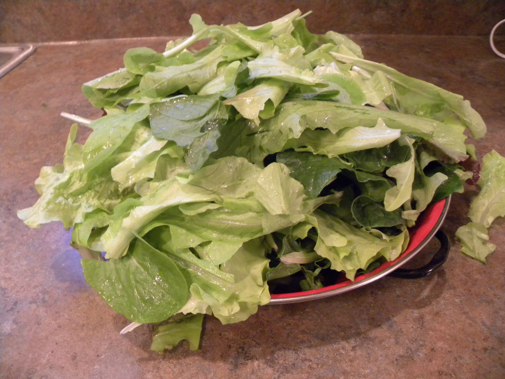 The Health Benefits of Spring Greens Salad Mix HubPages