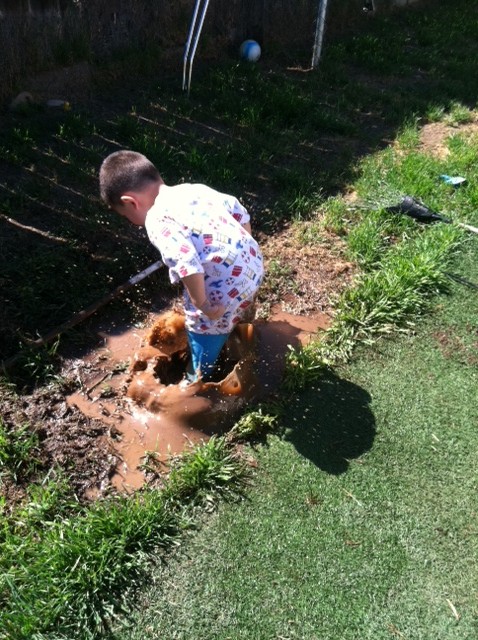 I am not being rude calling her little, she is 90 lbs soaking wet and way under five feet tall.