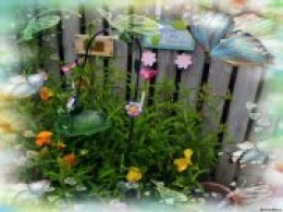 Erin and Val's garden.