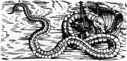 Olaus Magnus's Sea Orm, 1555