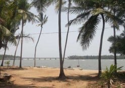 An Unexpected Visit to the Kadalundi Beach and Bird Sanctuary in Kerala
