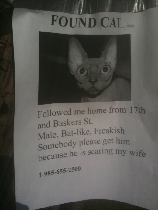 Just a bit of humor in this "found cat" flyer! Enjoy everyone!
