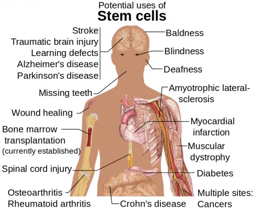 The incredible potential for healing.
