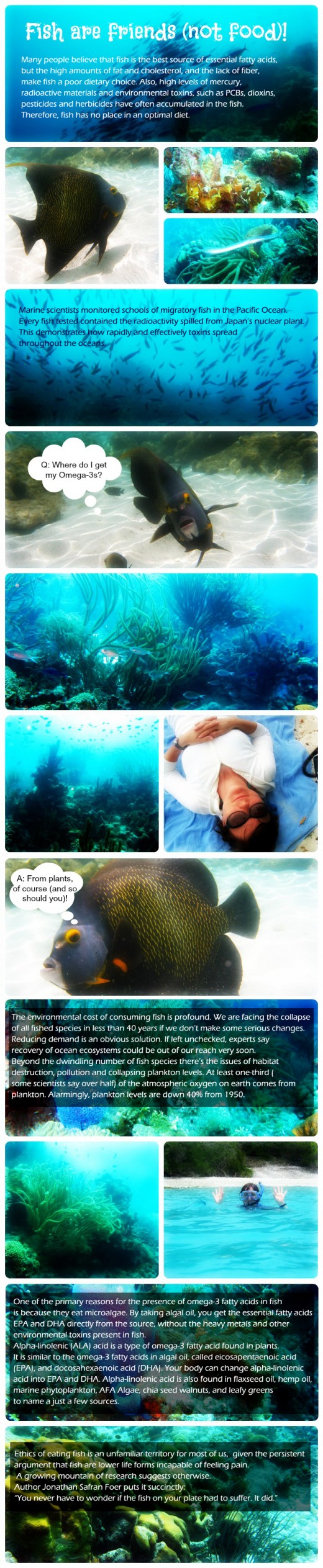  (Did you know that ounce for ounce it contains more omega-3s than fatty fish, such as salmon? And all that without the added mercury, and other toxins, as well as no contribution to ocean depletion and killing.)