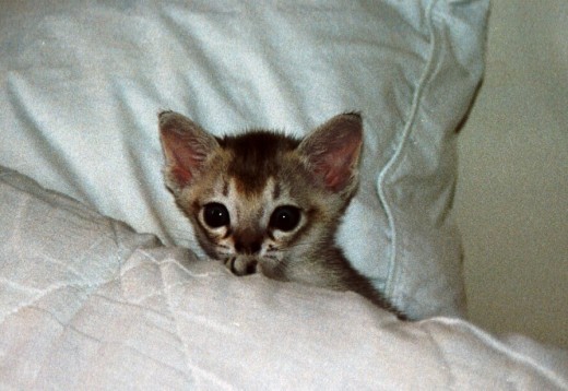 I'm ready for bed time!!!!